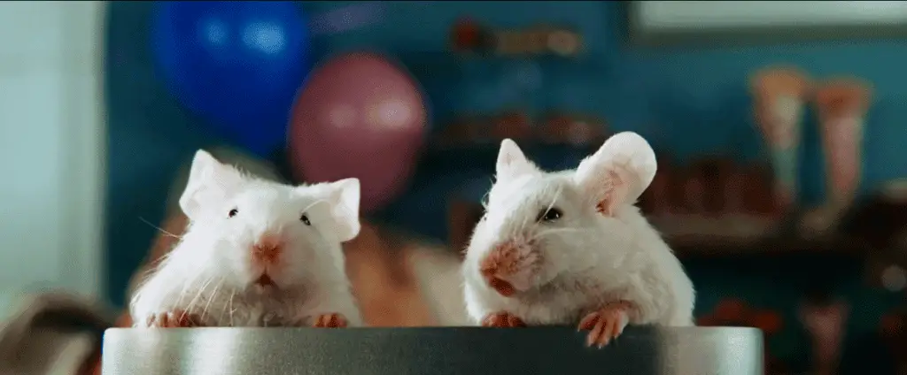 Am Ende des Films muss die Hauptfigur mit zwei weißen Mäusen kämpfen