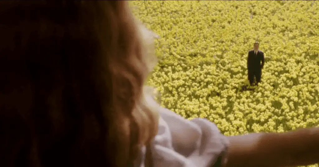 Bedecken Sie ein ganzes Feld mit gelben Narzissen, um Ihrer Liebsten eine Freude zu machen – warum nicht?