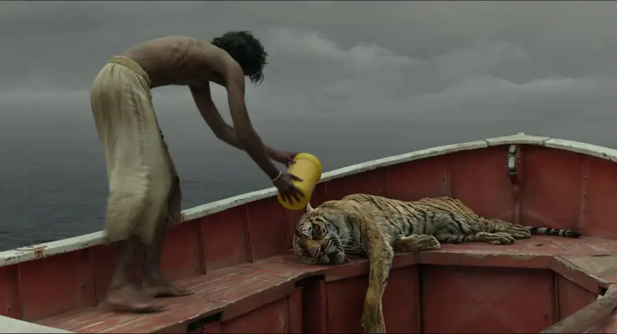 Life of Pi (2012) what the film is about