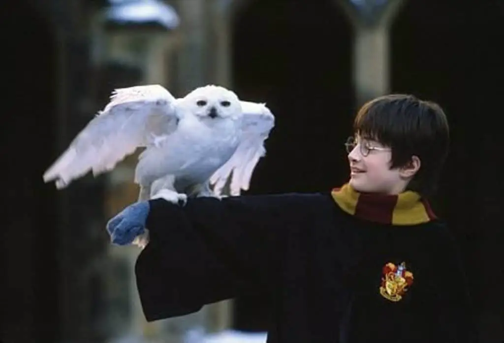 Harry-Potter-Filme - versteckte Bedeutung und Erklärung der Handlung