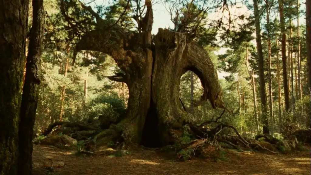 Pan's Labyrinth film meaning, review and review
