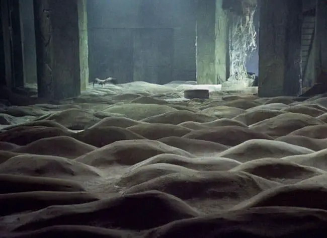 The flying bird is one of the traditional symbols of Tarkovsky