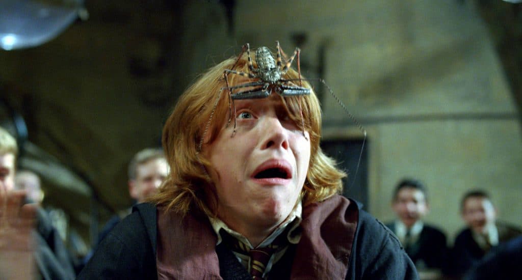 Die Harry-Potter-Filme - eine Erklärung der verborgenen psychologischen und philosophischen Bedeutung