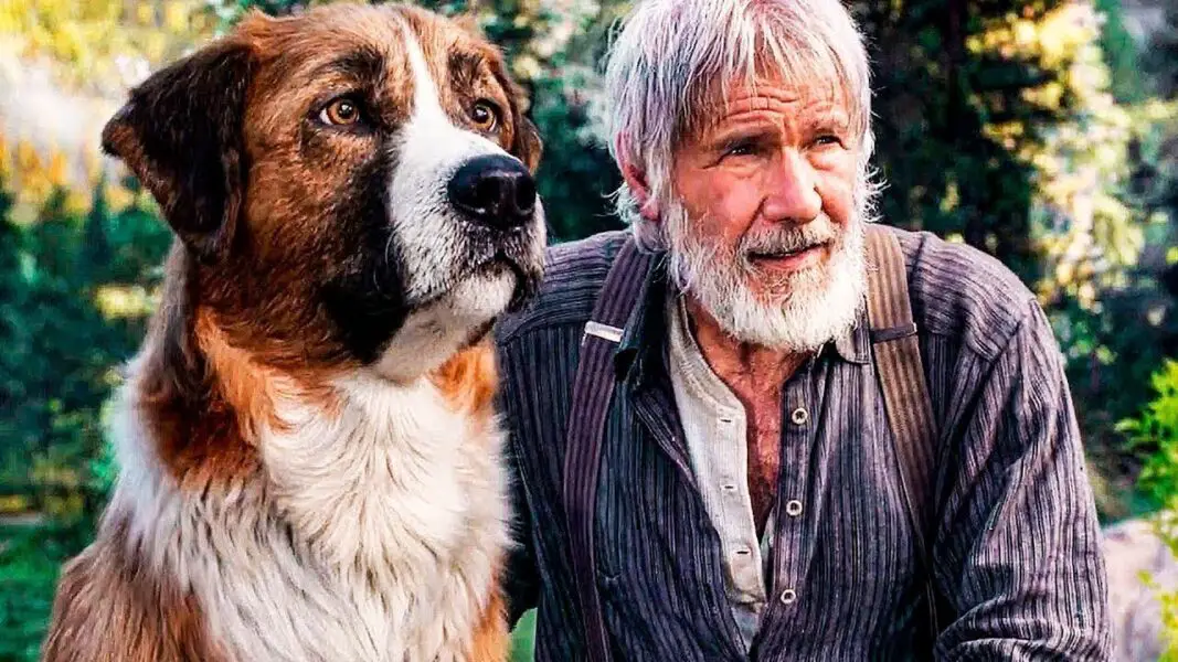 Adventure film "Call of the Wild": the true meaning of the film