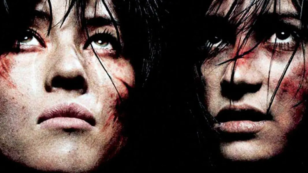 What is The Martyrs (2008) about?