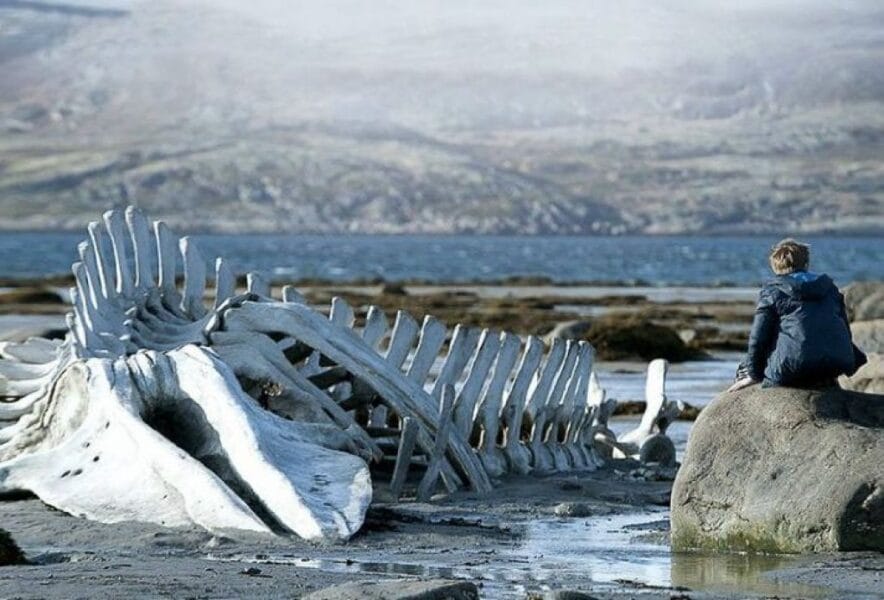 The meaning of the movie Leviathan 2014