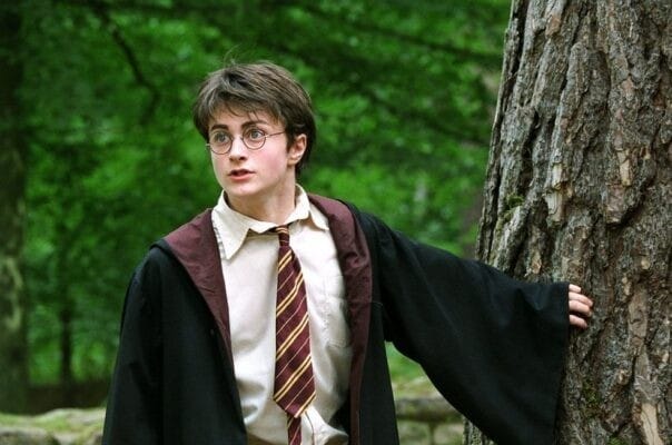 Суть и смысл фильмов о Гарри Поттере, сколько частей в Поттериане и о чем они, идеи   