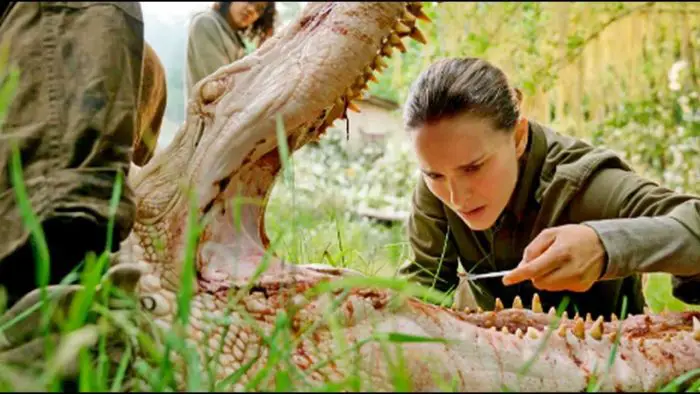 Annihilation with the main character