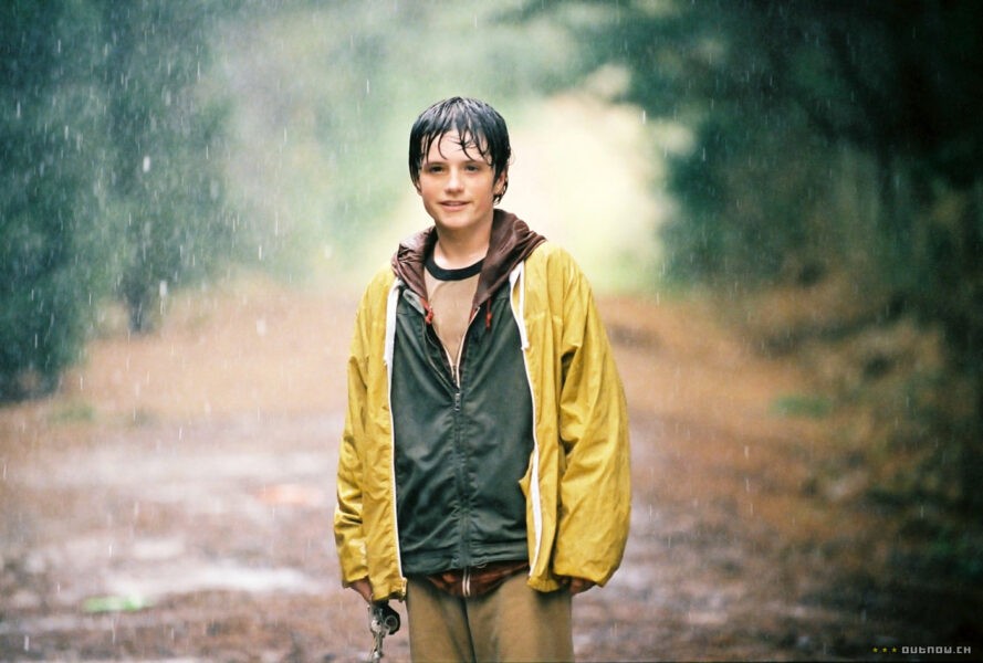 "Bridge to Terabithia": the plot and meaning of the film, the essence of the ending, similar films