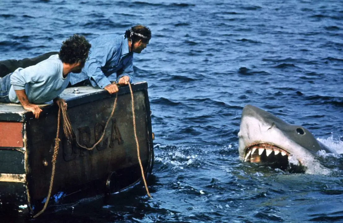 Stills from the movie Jaws