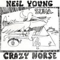 Cortez the Killer Song Story - Neil Young