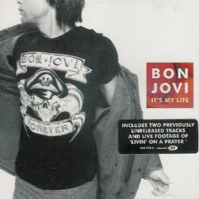 History of It's My Life by Bon Jovi
