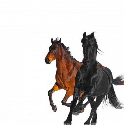 Old Town Road – Lil Nas X Song Story