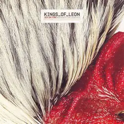 History of Sex on Fire by Kings of Leon