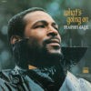 What's Going On Song Story by Marvin Gaye