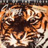 History of the song Eye of the Tiger by Survivor