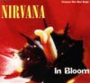 History of the song In Bloom Nirvana