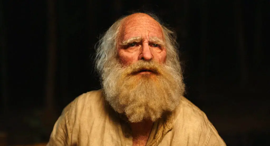 bearded old man
