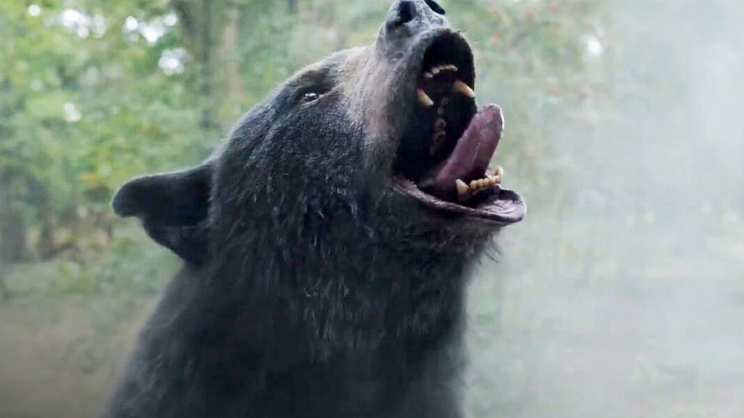 Bedeutung des Films „Cocaine Bear“ und Ende erklärt