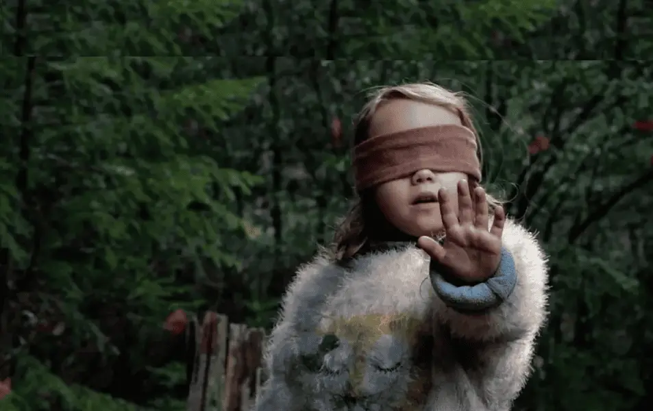 Bird Box Ende Erklärt