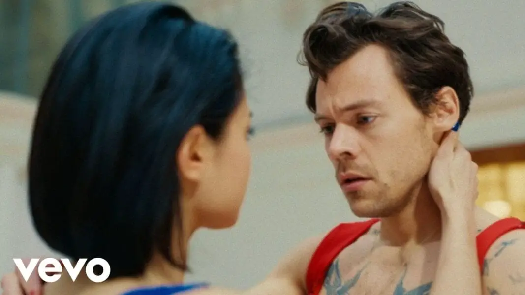 Die Bedeutung des Liedes «Harry Styles» von As It Was
