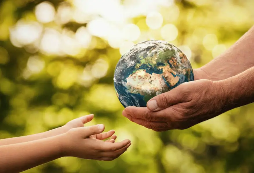 Essay zum Thema „Warum sollte die Natur geschützt werden?“