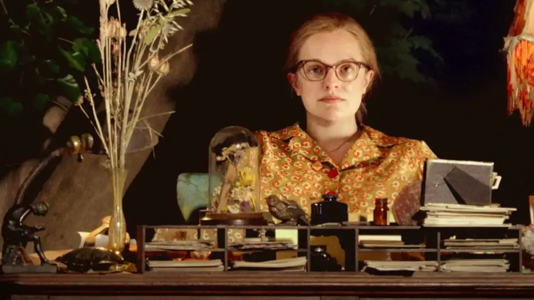 Shirley Ending Explained & Film Analysis – Blimey