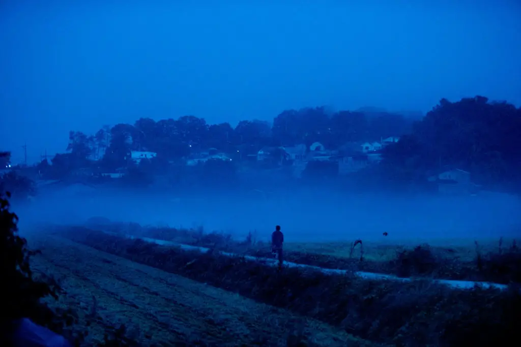 road in the fog of the film Burning